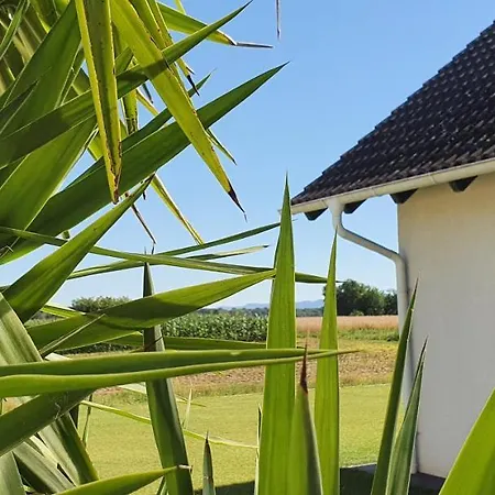 Haus 160m2 Europapark,strasburg,schwarzwald * 亚蓬威e尔