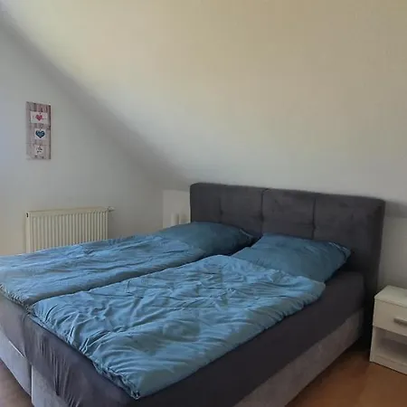 Haus 160m2 Europapark,strasburg,schwarzwald Prázdninový dům