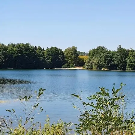 Haus 160m2 Europapark,strasburg,schwarzwald *