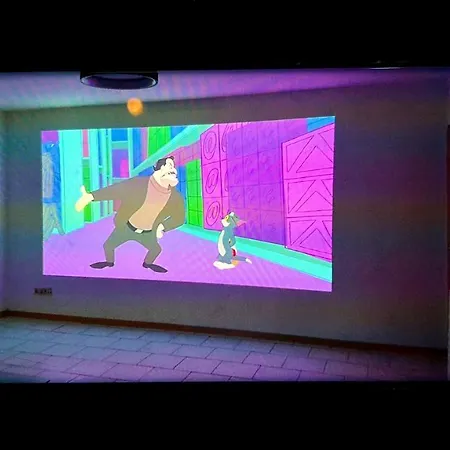 Tatil Evi Haus 160m2 Europapark,strasburg,schwarzwald Appenweier